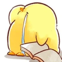 yo 💤