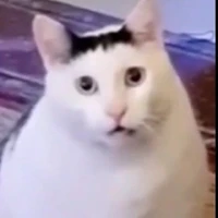 Tina