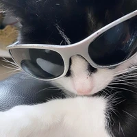 แอด