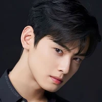 Cha Eunwoo