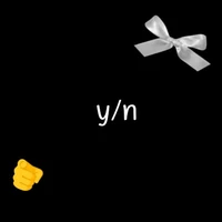 y/n