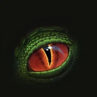 Tim Viper