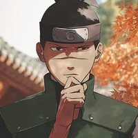 iruka sensei