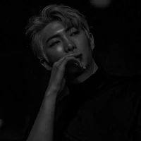 Namjoon( alpha)