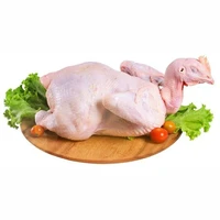 ไข่เอ้ยไก่