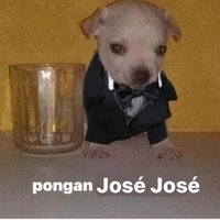 yo