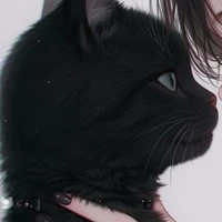Black cat(Cole)