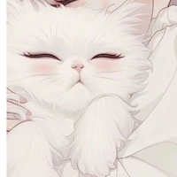 White cat(Huan)
