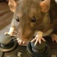 Rat(Xingluo)