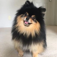 yeontan