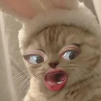แอด