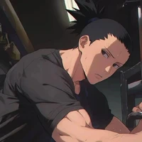 Shikamaru (Alfa)