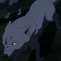 all Wolf