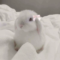 แอดอ๋องเอง