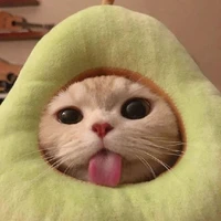 mingau