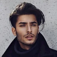 neshan ( ml assistant)