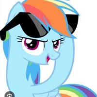 reybom dash