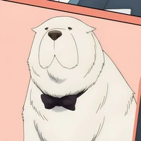 Bond