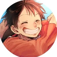 Monkey.D luffy(gamma)
