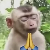 criadora 