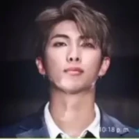 namjoon (a.p.)
