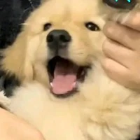 แอดเองงงงงงง