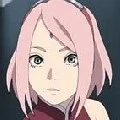 sakura