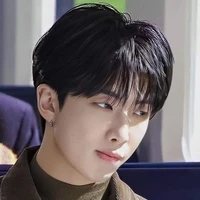 namjoon ( Enigma)