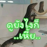 แอดเอง