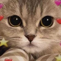 แอดเอง🌟