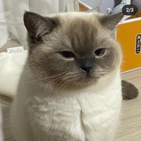 โซนิค🐱