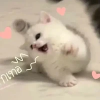 เเอดเอง