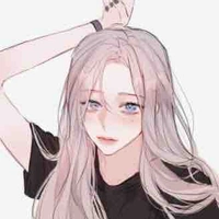 Y/N