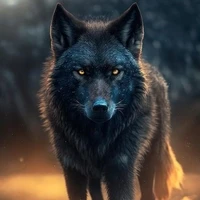 lobo de jm