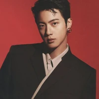 Kim seokjin 