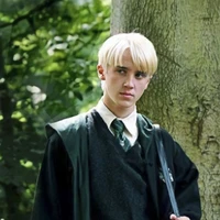Draco Black Malfoy