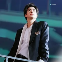 jeon kim Seokjin/mother of jk/ ceo /??
