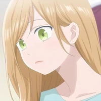 y/n
