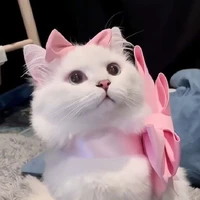 Lua ❤️