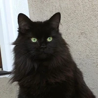 Tim