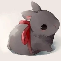 Owen coelho 🐰