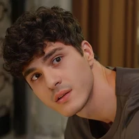 Veer