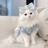 รูซี่ ( นอ. ร่างแมว )