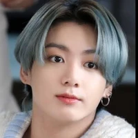 kim Jungkook (alpha)