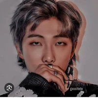 Kim namjoon (Rare alpha)