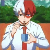 todoroki