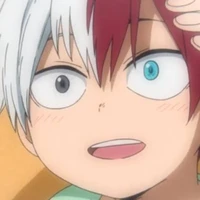 todoroki (pequeño)