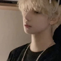 หลินเฟยลี่