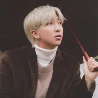 Jeon namjoon (kook dad)/elite alpha