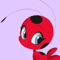 tikki